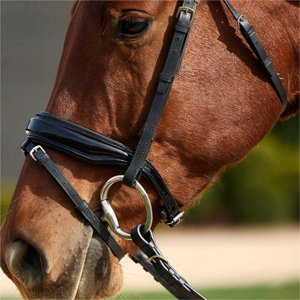 2026 Dublin Padded Comfort Crown Patent Flash Bridle 1031499 - Black